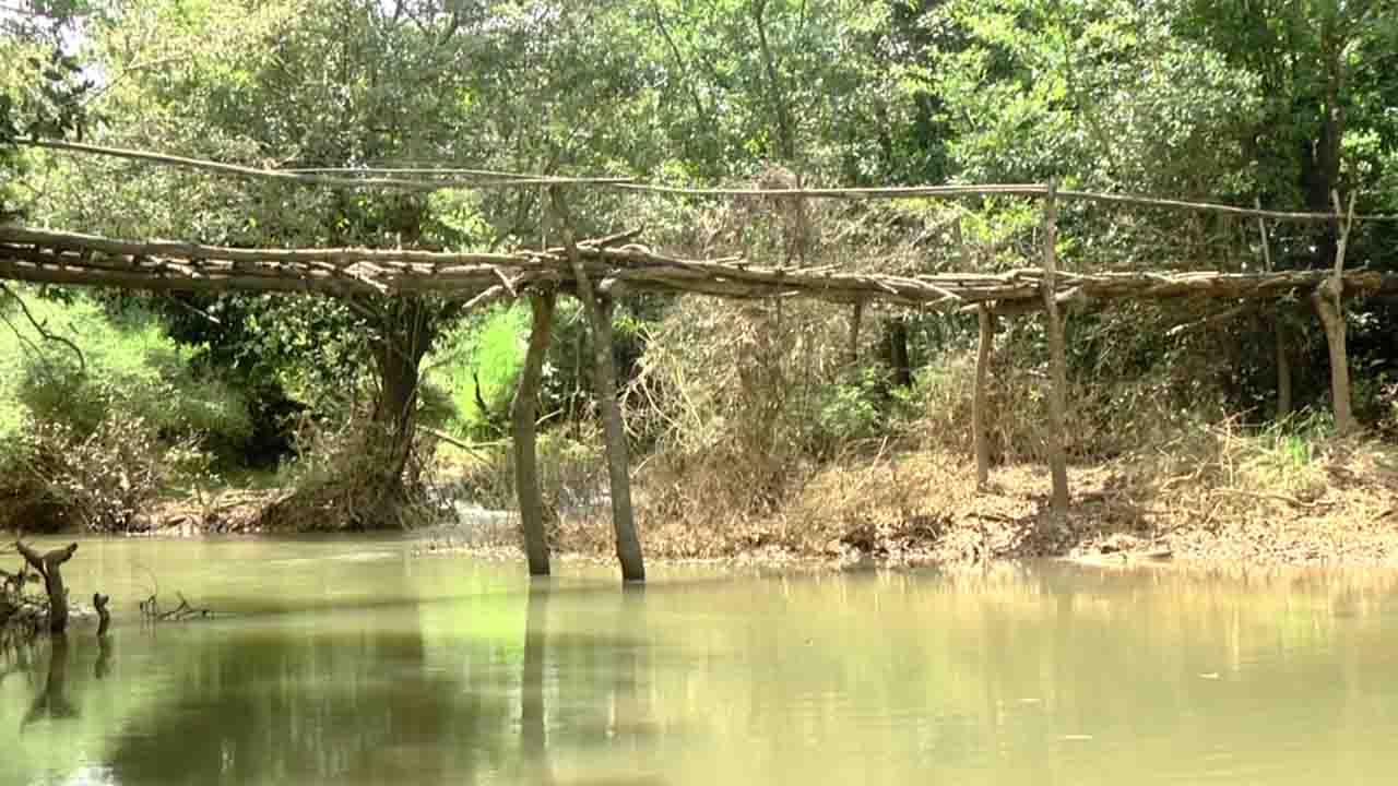 ಸೇತುವೆ ನಿರ್ಮಾಣಕ್ಕೆ ಎಷ್ಟೇ ಬೇಡಿಕೆ ಇಟ್ಟರೂ ಸರ್ಕಾರದಿಂದ ಸಿಗಲಿಲ್ಲ ಸ್ಪಂದನೆ: ಕೋಲು ಕಟ್ಟಿ ಸೇತುವೆ ನಿರ್ಮಾಣ, ಮಳೆ ಬಂದ್ರೆ ಏನು ಗತಿ ಎಂಬ ಆತಂಕ