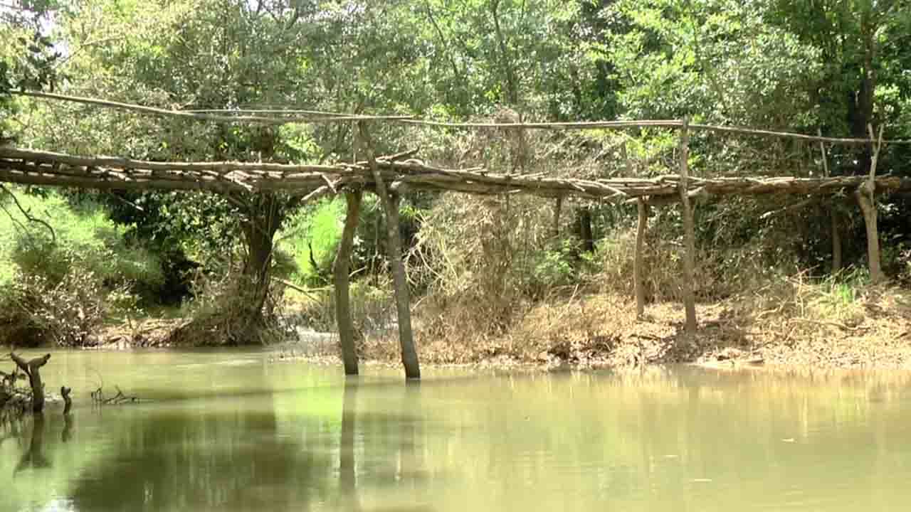 ಸೇತುವೆ ನಿರ್ಮಾಣಕ್ಕೆ ಎಷ್ಟೇ ಬೇಡಿಕೆ ಇಟ್ಟರೂ ಸರ್ಕಾರದಿಂದ ಸಿಗಲಿಲ್ಲ ಸ್ಪಂದನೆ: ಕೋಲು ಕಟ್ಟಿ ಸೇತುವೆ ನಿರ್ಮಾಣ, ಮಳೆ ಬಂದ್ರೆ ಏನು ಗತಿ ಎಂಬ ಆತಂಕ ಸೇತುವೆ ನಿರ್ಮಾಣಕ್ಕೆ ಎಷ್ಟೇ ಬೇಡಿಕೆ ಇಟ್ಟರೂ ಸರ್ಕಾರದಿಂದ ಸಿಗಲಿಲ್ಲ ಸ್ಪಂದನೆ: ಕೋಲು ಕಟ್ಟಿ ಸೇತುವೆ ನಿರ್ಮಾಣ, ಮಳೆ ಬಂದ್ರೆ ಏನು ಗತಿ ಎಂಬ ಆತಂಕ