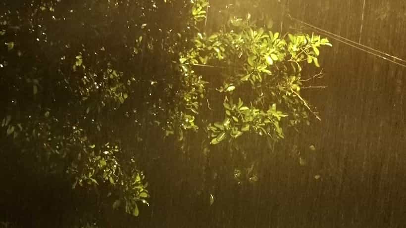 ಬೆಂಗಳೂರು ನಗರದಲ್ಲಿ ಮುಂದುವರಿದ ತುಂತುರು ಮಳೆ; ಜಿಟಿ ಜಿಟಿ ಮಳೆಗೆ ಜನಜೀವನ ಅಸ್ತವ್ಯಸ್ತ