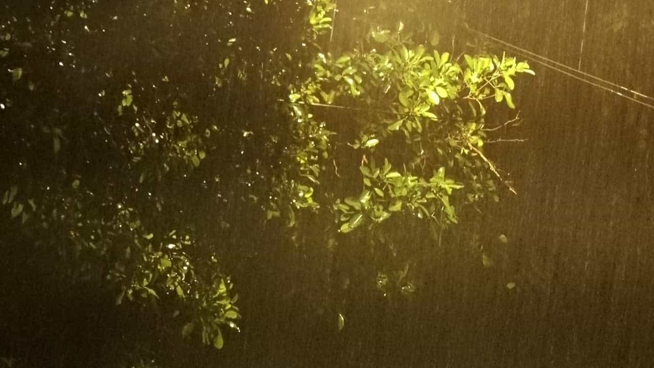 ಬೆಂಗಳೂರು ನಗರದಲ್ಲಿ ಮುಂದುವರಿದ ತುಂತುರು ಮಳೆ; ಜಿಟಿ ಜಿಟಿ ಮಳೆಗೆ ಜನಜೀವನ ಅಸ್ತವ್ಯಸ್ತ