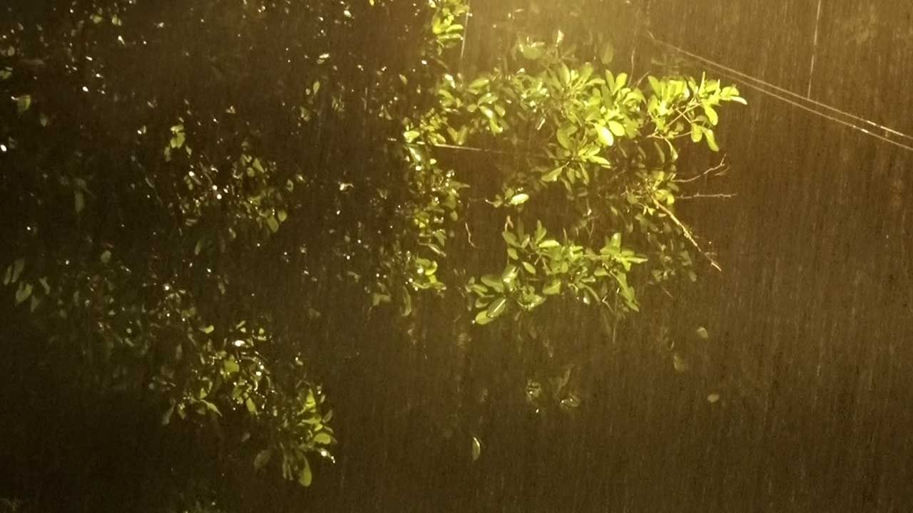 ಬೆಂಗಳೂರು ನಗರದಲ್ಲಿ ಮುಂದುವರಿದ ತುಂತುರು ಮಳೆ; ಜಿಟಿ ಜಿಟಿ ಮಳೆಗೆ ಜನಜೀವನ ಅಸ್ತವ್ಯಸ್ತ ಬೆಂಗಳೂರು ನಗರದಲ್ಲಿ ಮುಂದುವರಿದ ತುಂತುರು ಮಳೆ; ಜಿಟಿ ಜಿಟಿ ಮಳೆಗೆ ಜನಜೀವನ ಅಸ್ತವ್ಯಸ್ತ