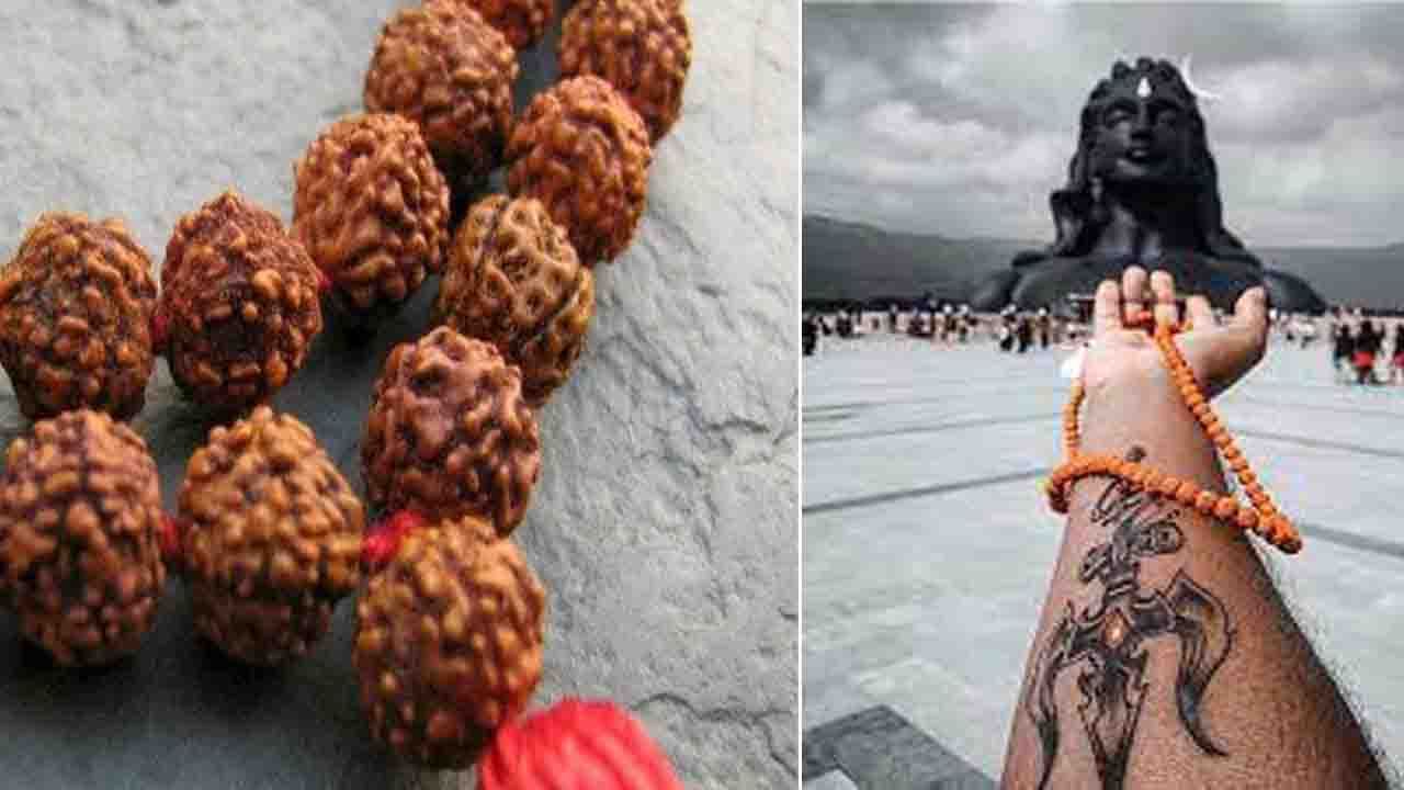 Benefits Of Wearing Rudraksha; ರುದ್ರಾಕ್ಷಿ ಧರಿಸುವುದರಿಂದಾಗುವ ಪ್ರಯೋಜನಗಳೇನು?