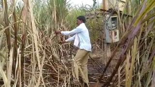 KSRTC: ಕೆಎಸ್​ಆರ್​ಟಿಸಿ ಬಸ್​ಗಳಲ್ಲಿ ಜೋರಾಗಿ ಹಾಡು ಹಾಕಿದ್ರೆ ಶಿಸ್ತುಕ್ರಮ: ಜಾರಿಯಾಗಿದೆ ಹೊಸ ನಿಯಮ