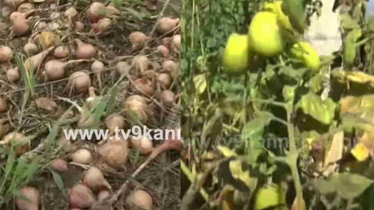 ರೈತರಿಗೊಂದು ರೇಟ್, ಮಾರುಕಟ್ಟೆಯಲ್ಲಿ ಇನ್ನೊಂದು ರೇಟ್; ಕಂಗಾಲಾದ ಅನ್ನದಾತ