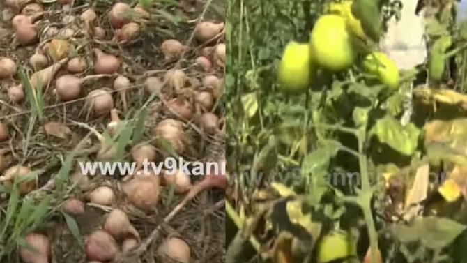 ರೈತರಿಗೊಂದು ರೇಟ್, ಮಾರುಕಟ್ಟೆಯಲ್ಲಿ ಇನ್ನೊಂದು ರೇಟ್; ಕಂಗಾಲಾದ ಅನ್ನದಾತ ರೈತರಿಗೊಂದು ರೇಟ್, ಮಾರುಕಟ್ಟೆಯಲ್ಲಿ ಇನ್ನೊಂದು ರೇಟ್; ಕಂಗಾಲಾದ ಅನ್ನದಾತ