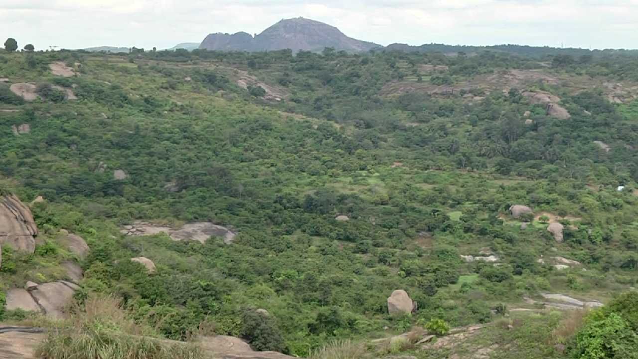 ಪ್ರವಾಸಿಗರನ್ನು ಕೈ ಬೀಸಿ ಕರೆಯುತ್ತಿದೆ ಕೂಟಗಲ್ ಬೆಟ್ಟ; ವೀಕೆಂಡ್ ಟ್ರಿಪ್​ಗೆ ಹೇಳಿ ಮಾಡಿಸಿದ ಜಾಗಕ್ಕೆ ಒಮ್ಮೆ ಭೇಟಿ ನೀಡಿ