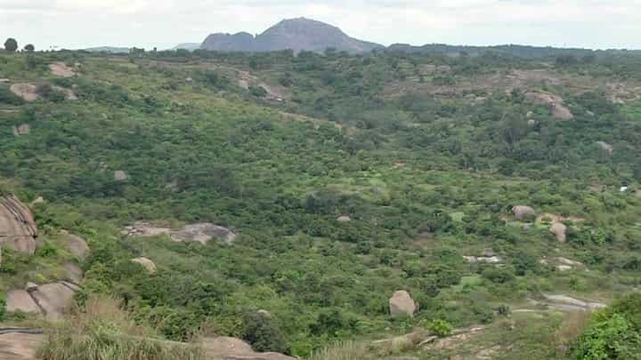 ಪ್ರವಾಸಿಗರನ್ನು ಕೈ ಬೀಸಿ ಕರೆಯುತ್ತಿದೆ ಕೂಟಗಲ್ ಬೆಟ್ಟ; ವೀಕೆಂಡ್ ಟ್ರಿಪ್ಗೆ ಹೇಳಿ ಮಾಡಿಸಿದ ಜಾಗಕ್ಕೆ ಒಮ್ಮೆ ಭೇಟಿ ನೀಡಿ ಪ್ರವಾಸಿಗರನ್ನು ಕೈ ಬೀಸಿ ಕರೆಯುತ್ತಿದೆ ಕೂಟಗಲ್ ಬೆಟ್ಟ; ವೀಕೆಂಡ್ ಟ್ರಿಪ್ಗೆ ಹೇಳಿ ಮಾಡಿಸಿದ ಜಾಗಕ್ಕೆ ಒಮ್ಮೆ ಭೇಟಿ ನೀಡಿ