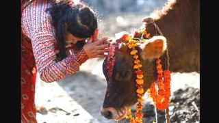 ಹಾವು ಕಚ್ಚಿ ಅಪ್ಪ ಸಾವು: ತಂದೆಯ ಚಿತೆಗೆ ಮೂವರು ಪುತ್ರಿಯರಿಂದ ಅಗ್ನಿಸ್ಪರ್ಶ, ಅಂತಿಮ ಸಂಸ್ಕಾರ