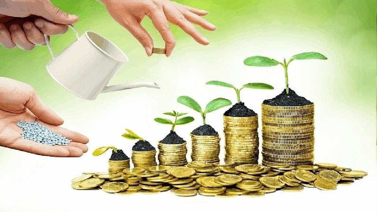 Stock Market Investment Tips: ಷೇರು ಮಾರುಕಟ್ಟೆ ಹೂಡಿಕೆಯ ಆರಂಭ ಹಂತದಲ್ಲಿ ಇರುವವರಿಗೆ 5 ಟಿಪ್ಸ್ Stock Market Investment Tips: ಷೇರು ಮಾರುಕಟ್ಟೆ ಹೂಡಿಕೆಯ ಆರಂಭ ಹಂತದಲ್ಲಿ ಇರುವವರಿಗೆ 5 ಟಿಪ್ಸ್