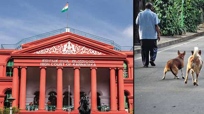 ಕಬ್ಬನ್​ಪಾರ್ಕ್​ನಲ್ಲಿ ನಾಯಿ ಕಾಟ ತಡೆಗೆ ಹೈಕೋರ್ಟ್​ ಆದೇಶ