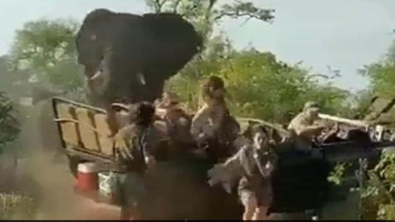 Viral Video: ಕೆರಳಿದ ಆನೆಯಿಂದ ಸಫಾರಿ ಜೀಪ್ ಮೇಲೆ ದಾಳಿ; ಕಂಗಾಲಾಗಿ ಓಡಿದ ಪ್ರವಾಸಿಗರು Viral Video: ಕೆರಳಿದ ಆನೆಯಿಂದ ಸಫಾರಿ ಜೀಪ್ ಮೇಲೆ ದಾಳಿ; ಕಂಗಾಲಾಗಿ ಓಡಿದ ಪ್ರವಾಸಿಗರು