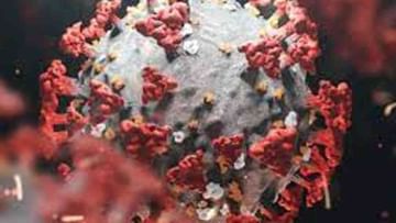 ಒಮಿಕ್ರಾನ್ ಕೊವಿಡ್​ 19 ಸೋಂಕಿನ​ ಕೊನೇ ರೂಪಾಂತರವಲ್ಲ; ಮತ್ತೆಮತ್ತೆ ಎಚ್ಚರಿಸುತ್ತಿರುವ ವಿಶ್ವ ಆರೋಗ್ಯ ಸಂಸ್ಥೆ