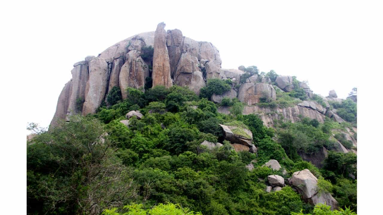 ರಾಮನಗರ ಜಿಲ್ಲೆಯಲ್ಲಿ ನಿಷೇಧಾಜ್ಞೆ ಜಾರಿ; ಮೇಕೆದಾಟು ಪಾದಯಾತ್ರೆ ಮೇಲೆ ನೇರ ಕರಿನೆರಳು: ನಾವಿಬ್ಬರೇ ಹೆಜ್ಜೆ ಹಾಕ್ತೀವಿ -ಸಿದ್ಧರಾಮಯ್ಯ ರಾಮನಗರ ಜಿಲ್ಲೆಯಲ್ಲಿ ನಿಷೇಧಾಜ್ಞೆ ಜಾರಿ; ಮೇಕೆದಾಟು ಪಾದಯಾತ್ರೆ ಮೇಲೆ ನೇರ ಕರಿನೆರಳು: ನಾವಿಬ್ಬರೇ ಹೆಜ್ಜೆ ಹಾಕ್ತೀವಿ -ಸಿದ್ಧರಾಮಯ್ಯ
