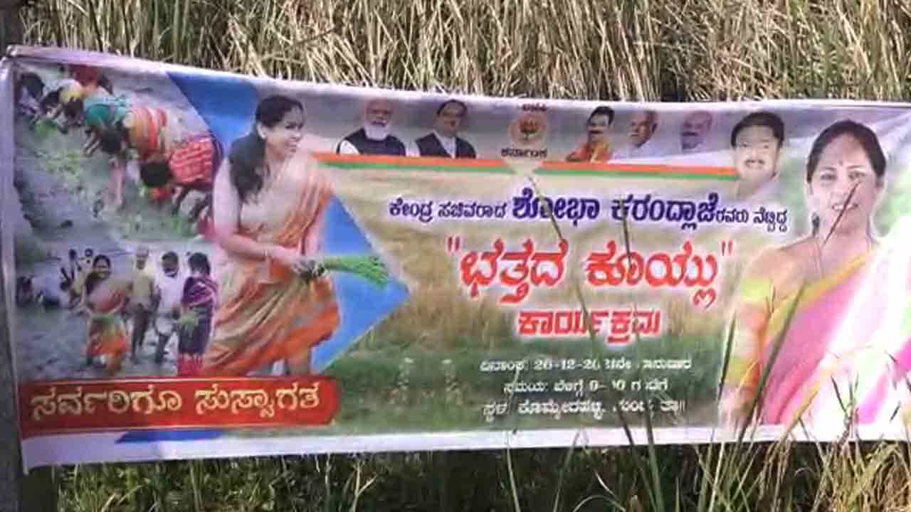 ಮಂಡ್ಯದಲ್ಲಿ ಶೋಭಾ ಕರಂದ್ಲಾಜೆ ನಾಟಿ ಮಾಡಿದ್ದ ಭತ್ತವನ್ನ ಕೂಯ್ಲು ಮಾಡಿದ ಬಿಜೆಪಿ ಕಾರ್ಯಕರ್ತರು ಮಂಡ್ಯದಲ್ಲಿ ಶೋಭಾ ಕರಂದ್ಲಾಜೆ ನಾಟಿ ಮಾಡಿದ್ದ ಭತ್ತವನ್ನ ಕೂಯ್ಲು ಮಾಡಿದ ಬಿಜೆಪಿ ಕಾರ್ಯಕರ್ತರು