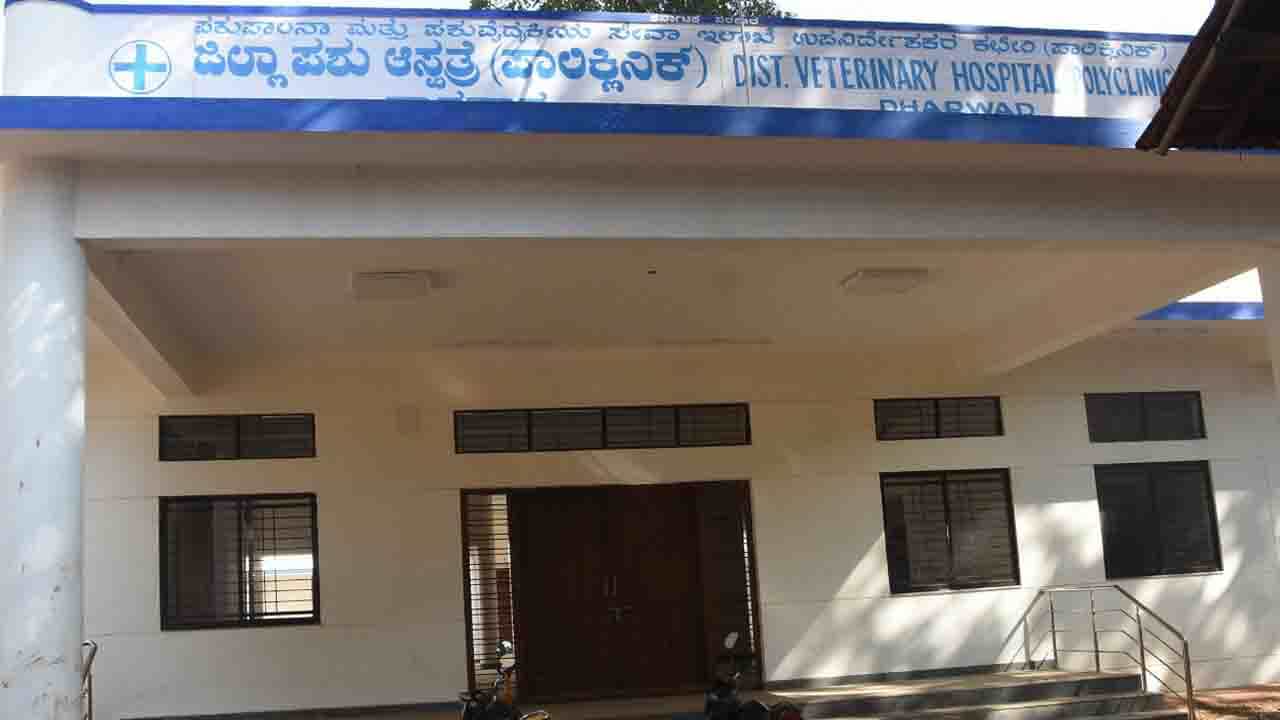 ದೇವರು ವರ ಕೊಟ್ಟರು ಪೂಜಾರಿ ಕೊಡಲಿಲ್ಲ, ಜಿಲ್ಲಾ ಪಶು ಆಸ್ಪತ್ರೆ ಕಟ್ಟಡ ನಿರ್ಮಾಣವಾದರೂ ಸಿಗದ ಉದ್ಘಾಟನಾ ಭಾಗ್ಯ ದೇವರು ವರ ಕೊಟ್ಟರು ಪೂಜಾರಿ ಕೊಡಲಿಲ್ಲ, ಜಿಲ್ಲಾ ಪಶು ಆಸ್ಪತ್ರೆ ಕಟ್ಟಡ ನಿರ್ಮಾಣವಾದರೂ ಸಿಗದ ಉದ್ಘಾಟನಾ ಭಾಗ್ಯ