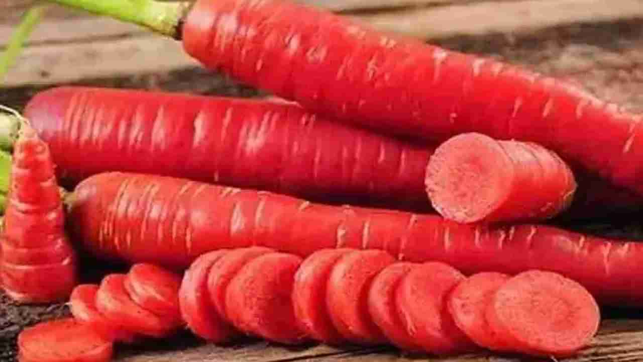 Carrot Benefits: ಚಳಿಗಾಲದಲ್ಲಿ ಕ್ಯಾರೆಟ್ ಸೇವನೆ ಎಷ್ಟು ಮುಖ್ಯ? ಸಮಸ್ಯೆ ಬಂದ ಮೇಲೆ ಚಿಂತಿಸುವ ಮೊದಲೇ ಎಚ್ಚರ ವಹಿಸಿ