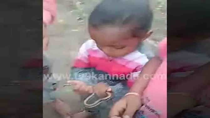 Russell Viper: ಹಾವಿನ ಮರಿಗಳೊಂದಿಗೆ  ಪುಟ್ಟ ಪುಟ್ಟ ಮಕ್ಕಳ ಆಟ-ನಲಿದಾಟ, ವಿಡಿಯೋ ವೈರಲ್
