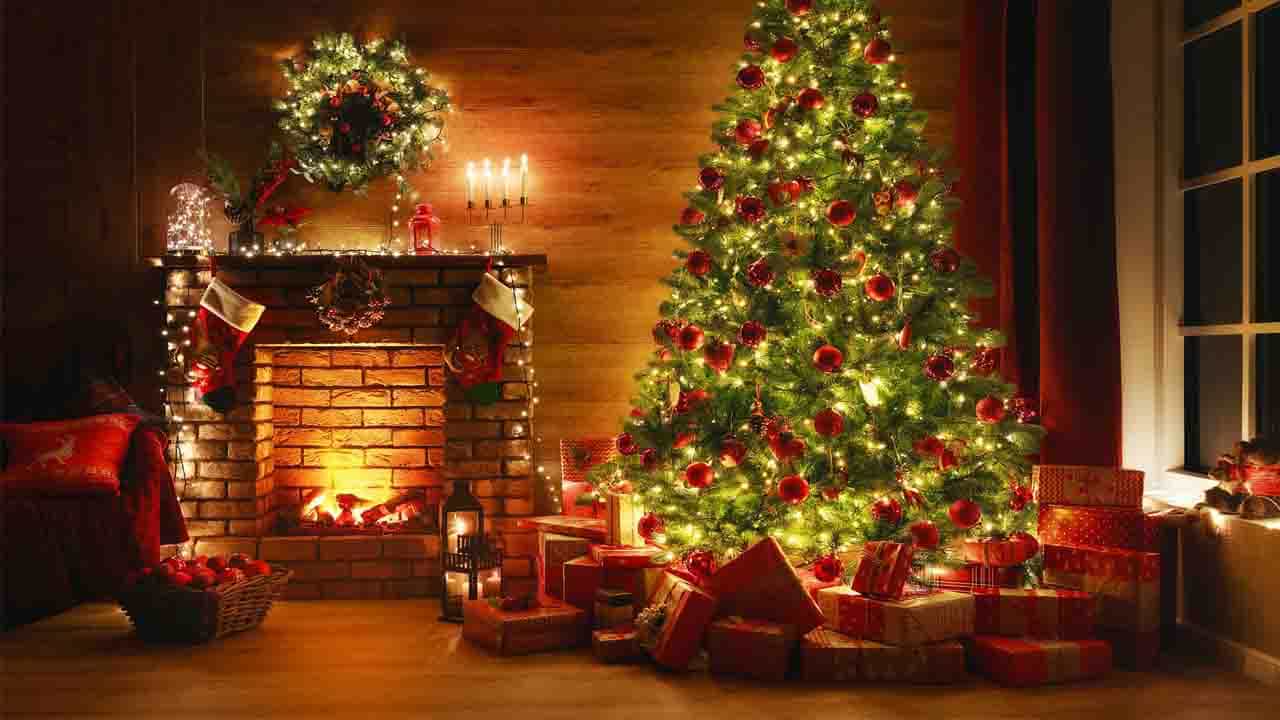 Christmas 2021: ಕ್ರಿಸ್ ಮಸ್ ಹಬ್ಬಕ್ಕೆ ಕ್ರಿಸ್ ಮಸ್ ಟ್ರೀ ಮಹತ್ವವೇನು? ಇಲ್ಲಿದೆ ಮಾಹಿತಿ Christmas 2021: ಕ್ರಿಸ್ ಮಸ್ ಹಬ್ಬಕ್ಕೆ ಕ್ರಿಸ್ ಮಸ್ ಟ್ರೀ ಮಹತ್ವವೇನು? ಇಲ್ಲಿದೆ ಮಾಹಿತಿ