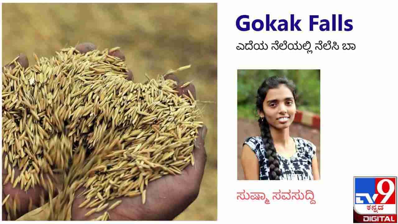 Gokak Falls : ಕಿತ್ತು ತಿನ್ನುವ ಬಡತನ ಇದ್ದಾಗಲೂ ಕೊಟ್ಟು ತಿನ್ನುವ ಗುಣ ರೈತನ ರಕ್ತನಾಳಗಳಲ್ಲೇ ಹುದುಗಿದೆ