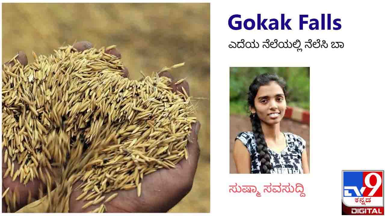 Gokak Falls : ಕಿತ್ತು ತಿನ್ನುವ ಬಡತನ ಇದ್ದಾಗಲೂ ಕೊಟ್ಟು ತಿನ್ನುವ ಗುಣ ರೈತನ ರಕ್ತನಾಳಗಳಲ್ಲೇ ಹುದುಗಿದೆ