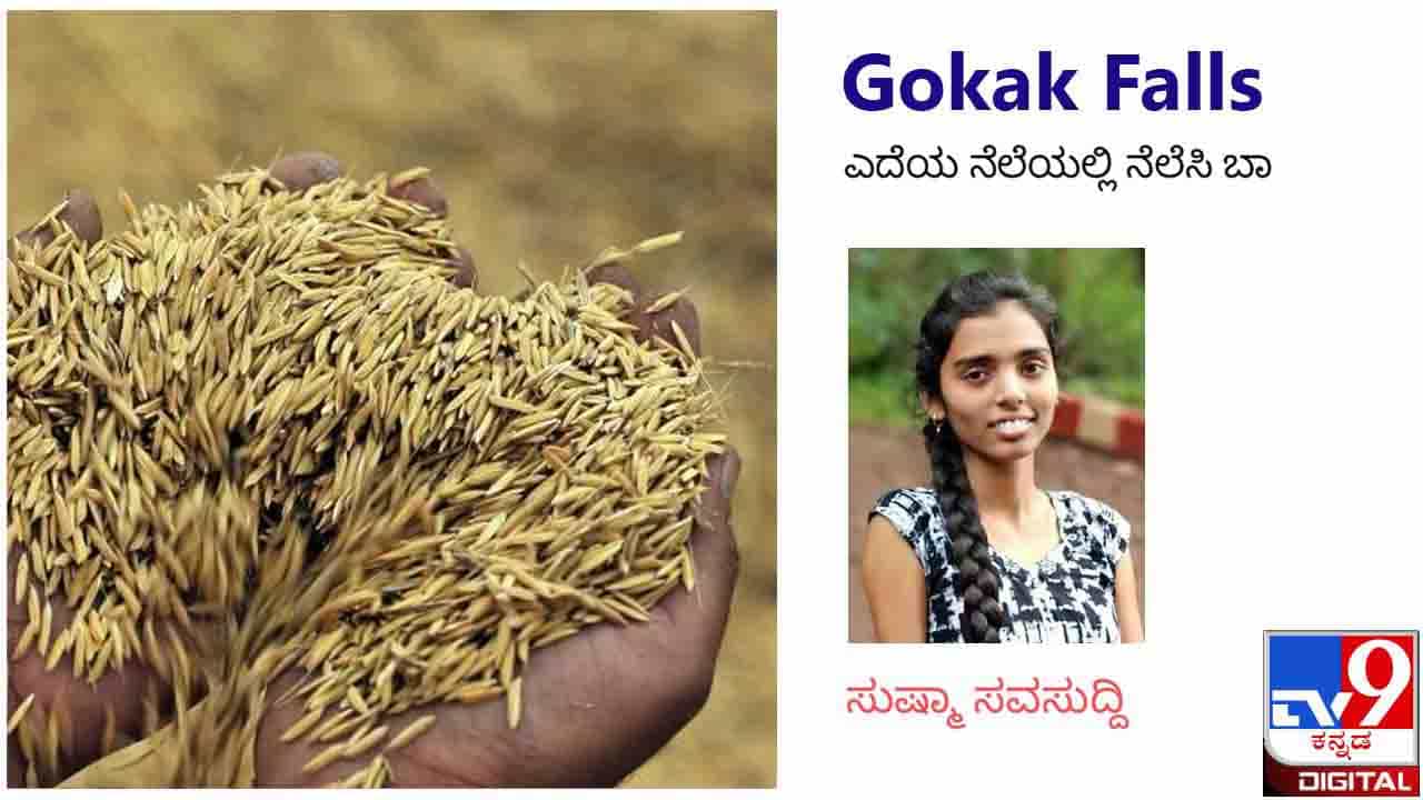 Gokak Falls : ಕಿತ್ತು ತಿನ್ನುವ ಬಡತನ ಇದ್ದಾಗಲೂ ಕೊಟ್ಟು ತಿನ್ನುವ ಗುಣ ರೈತನ ರಕ್ತನಾಳಗಳಲ್ಲೇ ಹುದುಗಿದೆ Gokak Falls : ಕಿತ್ತು ತಿನ್ನುವ ಬಡತನ ಇದ್ದಾಗಲೂ ಕೊಟ್ಟು ತಿನ್ನುವ ಗುಣ ರೈತನ ರಕ್ತನಾಳಗಳಲ್ಲೇ ಹುದುಗಿದೆ