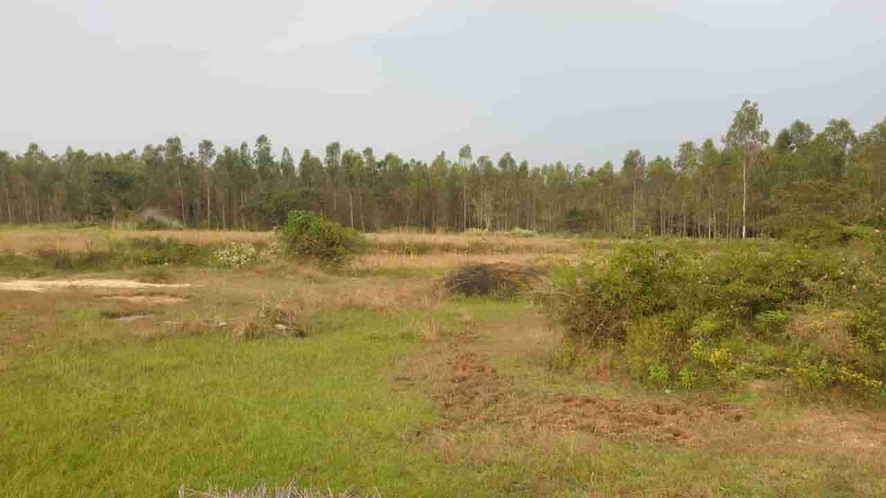 ಕೆರೆ ಜಾಗ ಅಕ್ರಮ ಒತ್ತುವರಿಯಲ್ಲಿ ಅಧಿಕಾರಿಗಳ ಕೈವಾಡ; ಕೆರೆ ಸಂರಕ್ಷಣೆ ಹೋರಾಟ ಸಮಿತಿಯಿಂದ ಉಪವಾಸದ ಸತ್ಯಾಗ್ರಹ ಎಚ್ಚರಿಕೆ