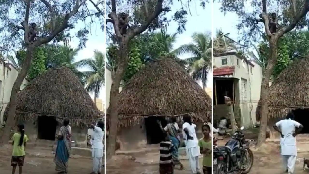 Viral Video: ಕೊರೋನಾ ವ್ಯಾಕ್ಸಿನ್​ಗೆ ಹೆದರಿ ಮರವೇರಿ ಕುಳಿತ ವ್ಯಕ್ತಿ: ವೀಡಿಯೋ ವೈರಲ್​