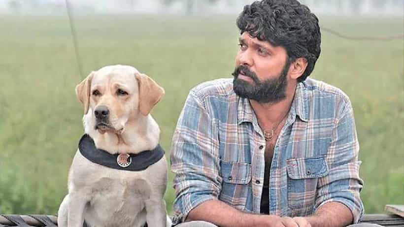 ‘777 ಚಾರ್ಲಿ’ ಬಗ್ಗೆ ಹೊಸ ಅಪ್ಡೇಟ್; ಡಿಸೆಂಬರ್ 31ಕ್ಕೆ ಸಿನಿಮಾ ರಿಲೀಸ್ ಆಗಲ್ಲ ಎಂದ ರಕ್ಷಿತ್ ಶೆಟ್ಟಿ