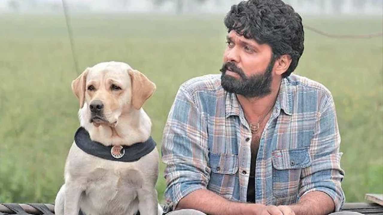 ‘777 ಚಾರ್ಲಿ’ ಬಗ್ಗೆ ಹೊಸ ಅಪ್ಡೇಟ್; ಡಿಸೆಂಬರ್ 31ಕ್ಕೆ ಸಿನಿಮಾ ರಿಲೀಸ್ ಆಗಲ್ಲ ಎಂದ ರಕ್ಷಿತ್ ಶೆಟ್ಟಿ ‘777 ಚಾರ್ಲಿ’ ಬಗ್ಗೆ ಹೊಸ ಅಪ್ಡೇಟ್; ಡಿಸೆಂಬರ್ 31ಕ್ಕೆ ಸಿನಿಮಾ ರಿಲೀಸ್ ಆಗಲ್ಲ ಎಂದ ರಕ್ಷಿತ್ ಶೆಟ್ಟಿ