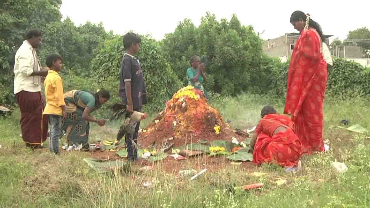 shashti panchami celebration