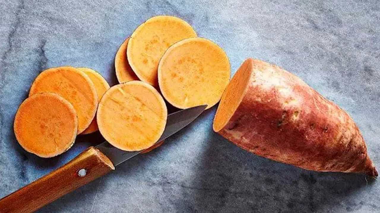 Sweet Potatoes Side effects: ಸಿಹಿ ಗೆಣಸು ತಿನ್ನುವ ಅಭ್ಯಾಸ ಇದೆಯೇ? ಅಪಾಯದ ಬಗ್ಗೆ ತಿಳಿಯಿರಿ Sweet Potatoes Side effects: ಸಿಹಿ ಗೆಣಸು ತಿನ್ನುವ ಅಭ್ಯಾಸ ಇದೆಯೇ? ಅಪಾಯದ ಬಗ್ಗೆ ತಿಳಿಯಿರಿ
