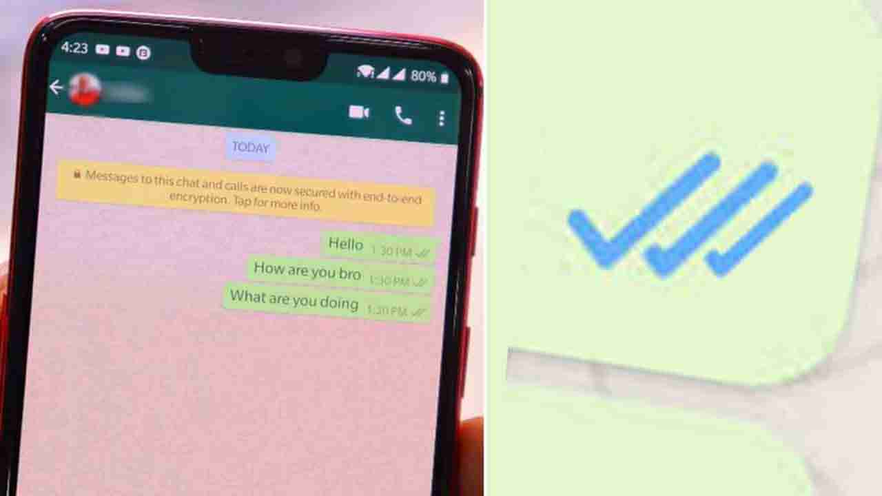 Whatsapp Third Tick: ವಾಟ್ಸ್​ಆ್ಯಪ್​ನಲ್ಲಿ ಬರಲಿದೆ ಮೂರನೇ ಬ್ಲೂ ಟಿಕ್?: ಶಾಕ್ ಆಗುವ ಮುನ್ನ ಈ ಸ್ಟೋರಿ ಓದಿ