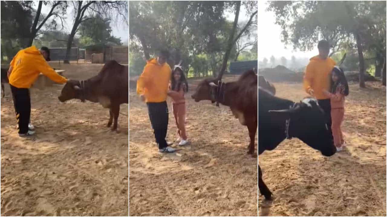ಗೋಮಾತೆ ಜೊತೆ ಅಕ್ಷಯ್ ಕುಮಾರ್ ಪುತ್ರಿ; ಮಕ್ಕಳಿಗೆ ಈ ಅನುಭವ ಬೇಕು ಎಂದ ಸ್ಟಾರ್ ನಟ ಗೋಮಾತೆ ಜೊತೆ ಅಕ್ಷಯ್ ಕುಮಾರ್ ಪುತ್ರಿ; ಮಕ್ಕಳಿಗೆ ಈ ಅನುಭವ ಬೇಕು ಎಂದ ಸ್ಟಾರ್ ನಟ