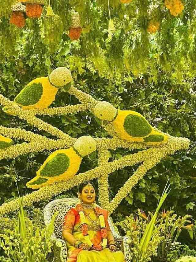 Amulya3