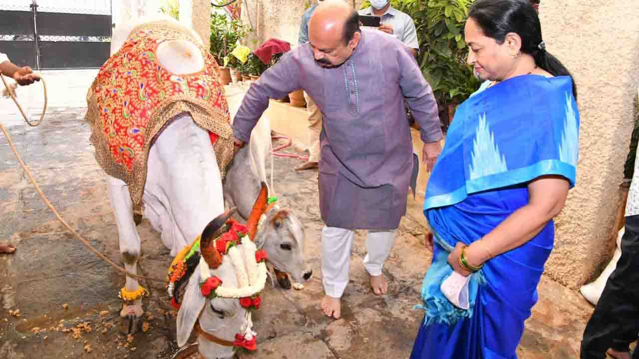 ಗೋ ಮಾತೆ ಹೊಂದಿಗೆ ಬೊಮ್ಮಾಯಿ ದಂಪತಿ