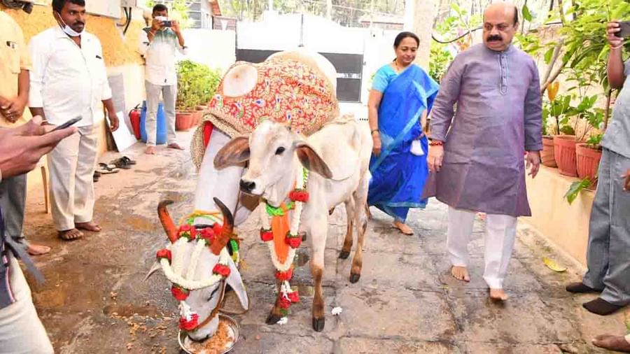 ಹುಟ್ಟುಹಬ್ಬದ ಅಂಗವಾಗಿ ರಾಷ್ಟ್ರೋತ್ಥಾನ ಗೋಶಾಲೆಯ 11 ಹಸುಗಳನ್ನು ಆಜೀವನ ದತ್ತು ಸ್ವೀಕಾರ ಮಾಡಿ, ಗೋಮಾತೆಯ ಸೇವೆಯ ಪವಿತ್ರಕಾರ್ಯದಲ್ಲಿ ತೊಡಗಿಸಿಕೊಳ್ಳುವ ಮೂಲಕ ಕುಟುಂಬದ ಸದಸ್ಯರೊಂದಿಗೆ ಗೋಪೂಜೆ ನೆರವೇರಿಸಿದ ಸಿಎಂ 