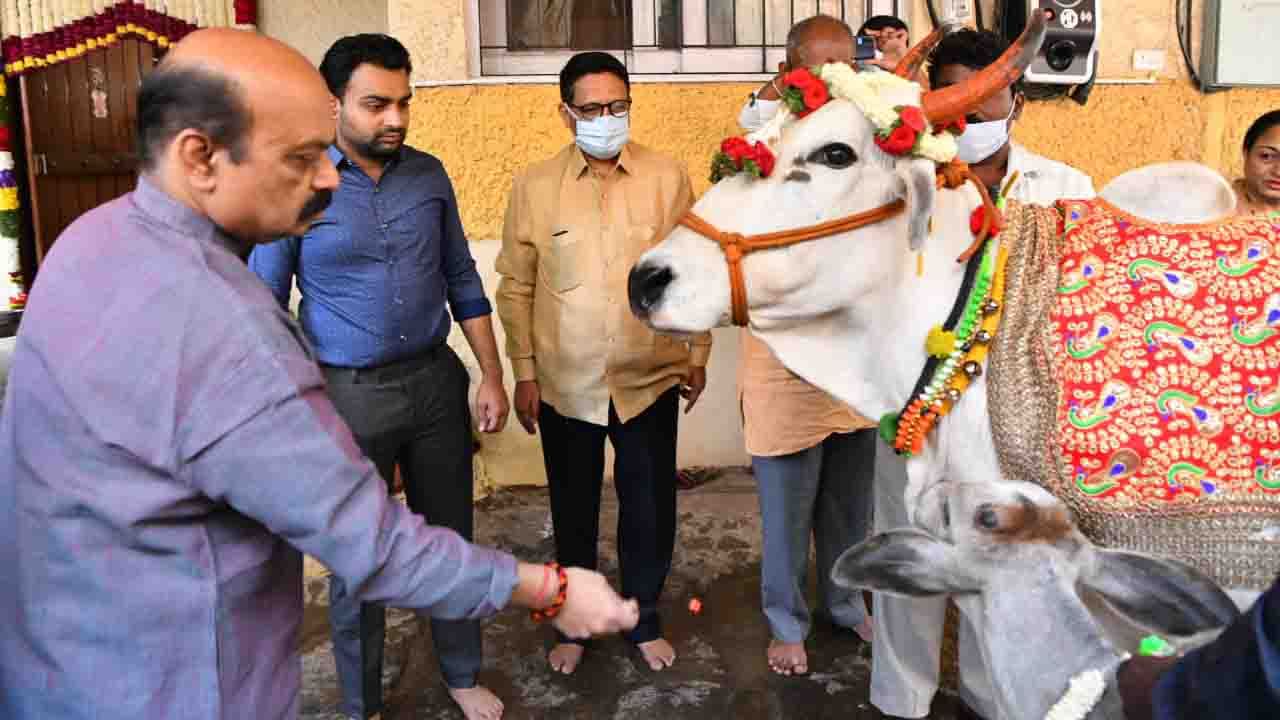 ಮುಕ್ಕೋಟಿ ದೇವತೆಗಳು ನೆಲೆಸಿರುವ ಗೋ ಮಾತೆಗೆ ಪೂಜೆ ಸಲ್ಲಿಸಿ ಆಶೀರ್ವಾದ ಪಡೆದ ಸಿಎಂ ಬಸವರಾಜ ಬೊಮ್ಮಾಯಿ.  