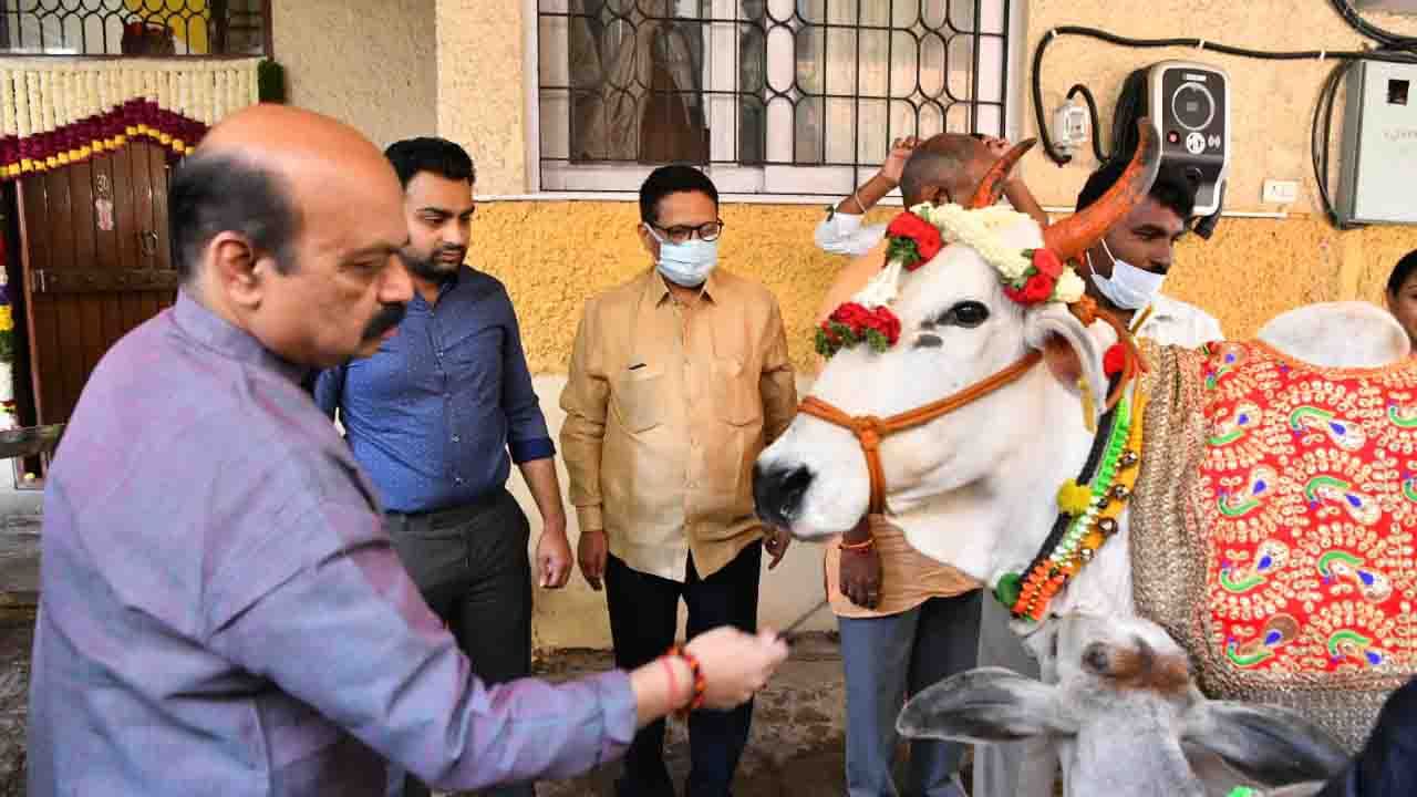 ಯಾವುದೇ ರೀತಿಯ ಬಿಗ್ ಸೆಲೆಬ್ರೇಷನ್ ಇಲ್ಲದೆ ಸಾಂಪ್ರದಾಯಿಕವಾಗಿ ಗೋಪೂಜೆ ಮಾಡಿ ಹುಟ್ಟುಹಬ್ಬ ಆಚರಿಸಿಕೊಂಡ ಸಿಎಂ ಬೊಮ್ಮಾಯಿ