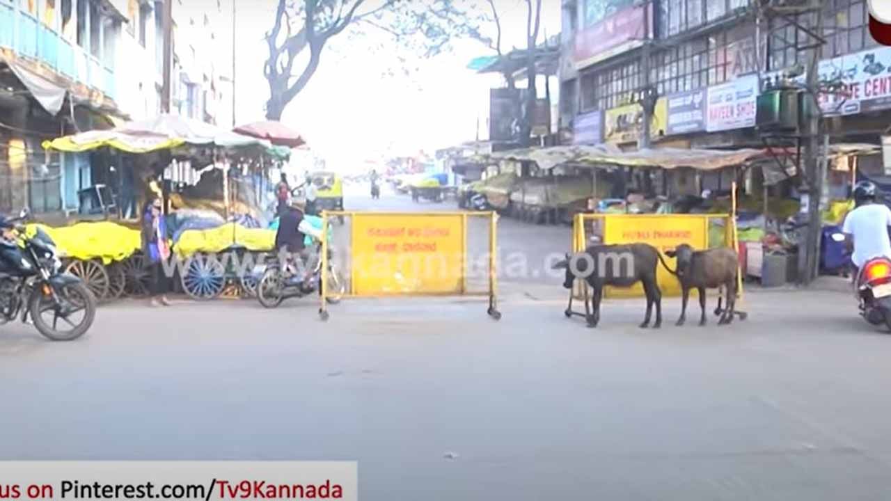 ಹೆಚ್ಚುತ್ತಿರುವ ಕೋವಿಡ್ ಪ್ರಕರಣಗಳು, ಸಂಕ್ರಾಂತಿ ಹಬ್ಬದ ಸಂತೆ ಮಾಡಲೂ ಹೊರಬಾರದ ಧಾರವಾಡ ಜನತೆ!