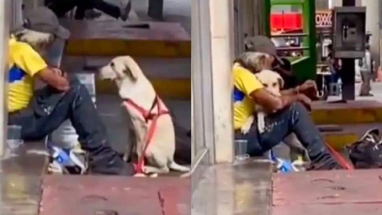 Viral Video: ಬೀದಿ ಪಾಲಾಗಿ ಫುಟ್ಪಾತ್ನಲ್ಲಿ ಕುಳಿತಿದ್ದ ವ್ಯಕ್ತಿಯನ್ನು ತಬ್ಬಿಕೊಂಡ ನಾಯಿ; ವಿಡಿಯೋ ವೈರಲ್