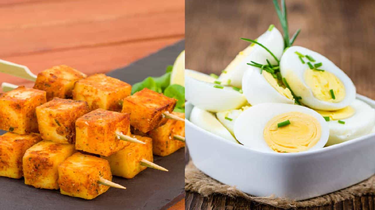 Weight Loss Tips: ಬೇಗ ತೂಕ ಕಡಿಮೆಯಾಗಲು ಮೊಟ್ಟೆ ತಿನ್ನಬೇಕಾ? ಪನೀರ್ ಒಳ್ಳೆಯದಾ? Weight Loss Tips: ಬೇಗ ತೂಕ ಕಡಿಮೆಯಾಗಲು ಮೊಟ್ಟೆ ತಿನ್ನಬೇಕಾ? ಪನೀರ್ ಒಳ್ಳೆಯದಾ?