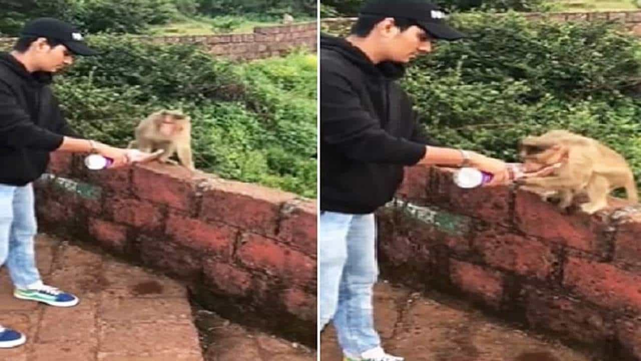 Viral Video: ‘ನೀರಿದ್ದರೆ ಮಾತ್ರ ಜೀವನ!’; ಜಲಶಕ್ತಿ ಸಚಿವಾಲಯ ಹಂಚಿಕೊಂಡ ವಿಶೇಷ ವಿಡಿಯೋ ನೋಡಿ Viral Video: ‘ನೀರಿದ್ದರೆ ಮಾತ್ರ ಜೀವನ!’; ಜಲಶಕ್ತಿ ಸಚಿವಾಲಯ ಹಂಚಿಕೊಂಡ ವಿಶೇಷ ವಿಡಿಯೋ ನೋಡಿ
