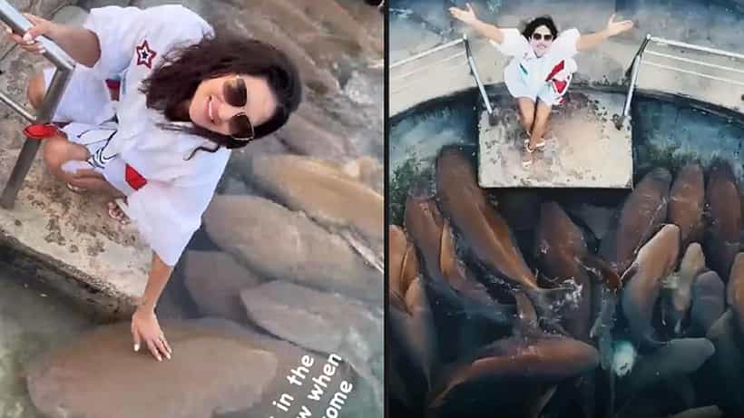 Sunny Leone: ಕಾಲ ಬುಡದಲ್ಲೇ ಶಾರ್ಕ್ಗಳಿದ್ದರೂ ಸನ್ನಿ ಡೋಂಟ್ ಕೇರ್! ವೈರಲ್ ಆಯ್ತು ವಿಡಿಯೋ