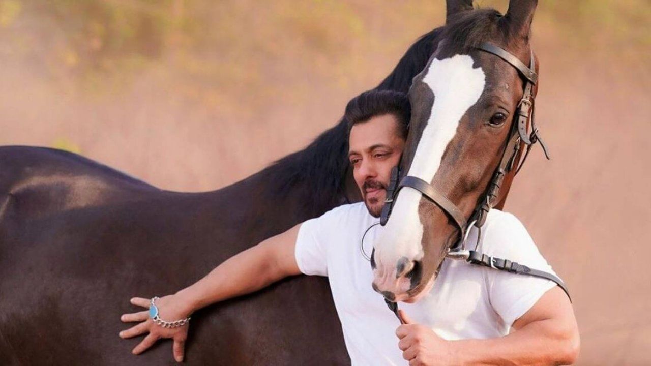 Salman Khan: ಕುದುರೆ ಜತೆ ಸಲ್ಮಾನ್ ಮಸ್ತ್ ಪೋಸ್; ‘ಕಚ್ಚಬಹುದು ಹುಷಾರು’ ಎಂದು ಕಾಲೆಳೆದ ನೆಟ್ಟಿಗರು