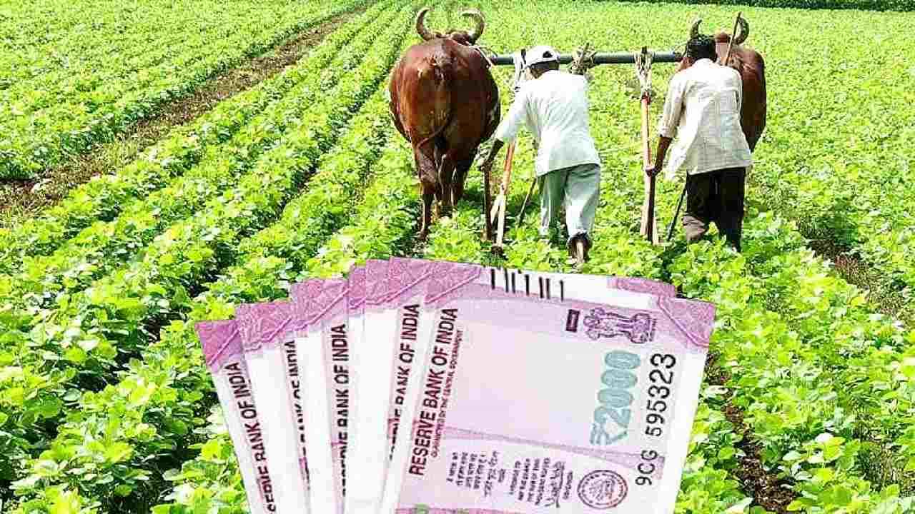 PM Kisan Yojana: ಪಿಎಂ ಕಿಸಾನ್ ಯೋಜನೆ ಫಲಾನುಭವಿ ಪಟ್ಟಿಯಲ್ಲಿ ಹೆಸರು ಸೇರ್ಪಡೆ ಹೇಗೆ? ಇಲ್ಲಿದೆ ವಿವರಣೆ PM Kisan Yojana: ಪಿಎಂ ಕಿಸಾನ್ ಯೋಜನೆ ಫಲಾನುಭವಿ ಪಟ್ಟಿಯಲ್ಲಿ ಹೆಸರು ಸೇರ್ಪಡೆ ಹೇಗೆ? ಇಲ್ಲಿದೆ ವಿವರಣೆ