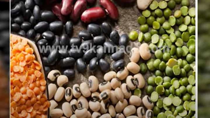 ಕೇವಲ ಮಾಂಸಾಹಾರದಲ್ಲಿ ಮಾತ್ರ ಪೌಷ್ಠಿಕಾಂಶ ಅಡಗಿರುವುದಿಲ್ಲ, ಸಸ್ಯಾಹಾರದ ಅನೇಕ ಪದಾರ್ಥಗಳು ಪ್ರೊಟೀನಿನ ಭಂಡಾರವಾಗಿವೆ! ಕೇವಲ ಮಾಂಸಾಹಾರದಲ್ಲಿ ಮಾತ್ರ ಪೌಷ್ಠಿಕಾಂಶ ಅಡಗಿರುವುದಿಲ್ಲ, ಸಸ್ಯಾಹಾರದ ಅನೇಕ ಪದಾರ್ಥಗಳು ಪ್ರೊಟೀನಿನ ಭಂಡಾರವಾಗಿವೆ!