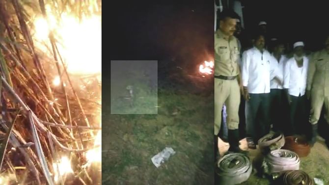 ಬೆಂಕಿ ಆಕಸ್ಮಿಕ: 450 ಕ್ವಿಂಟಲ್ ಗೂ ಅಧಿಕ ಮೆಕ್ಕೆಜೋಳ ತೆನೆ ಸುಟ್ಟು ಭಸ್ಮ; 5 ಎಕರೆಯಲ್ಲಿ ಬೆಳೆದಿದ್ದ ಕಬ್ಬು ಬೆಂಕಿಗಾಹುತಿ ಬೆಂಕಿ ಆಕಸ್ಮಿಕ: 450 ಕ್ವಿಂಟಲ್ ಗೂ ಅಧಿಕ ಮೆಕ್ಕೆಜೋಳ ತೆನೆ ಸುಟ್ಟು ಭಸ್ಮ; 5 ಎಕರೆಯಲ್ಲಿ ಬೆಳೆದಿದ್ದ ಕಬ್ಬು ಬೆಂಕಿಗಾಹುತಿ