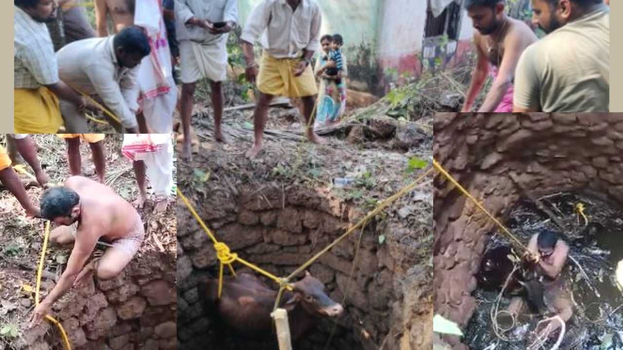 Gokarna: ನೀರಿರುವ, ತೆರೆದ ಬಾವಿಗೆ ಬಿದ್ದಿದ್ದ ಮೂಕ ಜೀವಿಯ ಯಶಸ್ವೀ ರಕ್ಷಣೆ ಮಾಡಿದ ಗ್ರಾಮಸ್ಥರು!