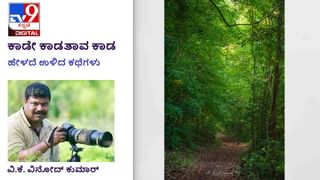 ಕೊಡಗು: ಪ್ರವಾಸಿಗರಿಗೆ ಖುಷಿಯ ಸುದ್ದಿ; ಮಡಿಕೇರಿಯ ರಾಜಾಸೀಟ್ ಅಪ್​ಗ್ರೇಡ್​ ಆಗಿದೆ ಒಮ್ಮೆ ಭೇಟಿ ನೀಡಿ