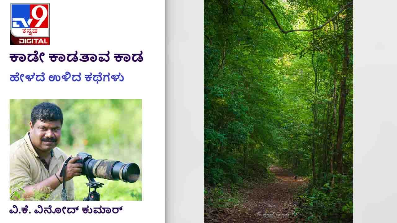 Forest Stories : ತಿಂಗಳ ಕೊನೆಯ ಅಕ್ಕಿಯೂ, ಕೋಳಿ ಗೊಜ್ಜೂ, ಢಂ ಢಮಾರ್ ಎನ್ನುವ ಆ ಗುಂಡಿನ ಶಬ್ದವೂ...